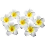 Bigwill 6PCS Hawaiian Flower Hair Claw Clips for Women & Girls – Plumeria Foam Flower Clutcher Clips, Nonslip Jaw Clips for Thick & Fine Hair, Multicolor Hair Accessories - Image 2